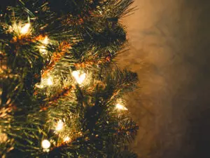 Natural green Christmas tree lit up at night with white lights to demonstrate how to have a sustainable Christmas.