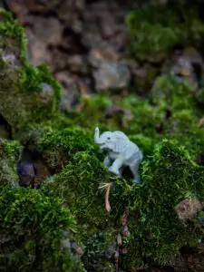 Small toy green elephant lying in moss symbolising nature and ecology.