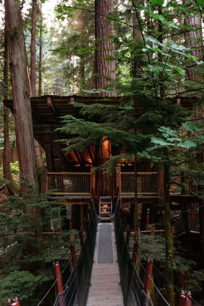 Treehouse in the woods with a path leading up to it demonstrating a natural eco design.