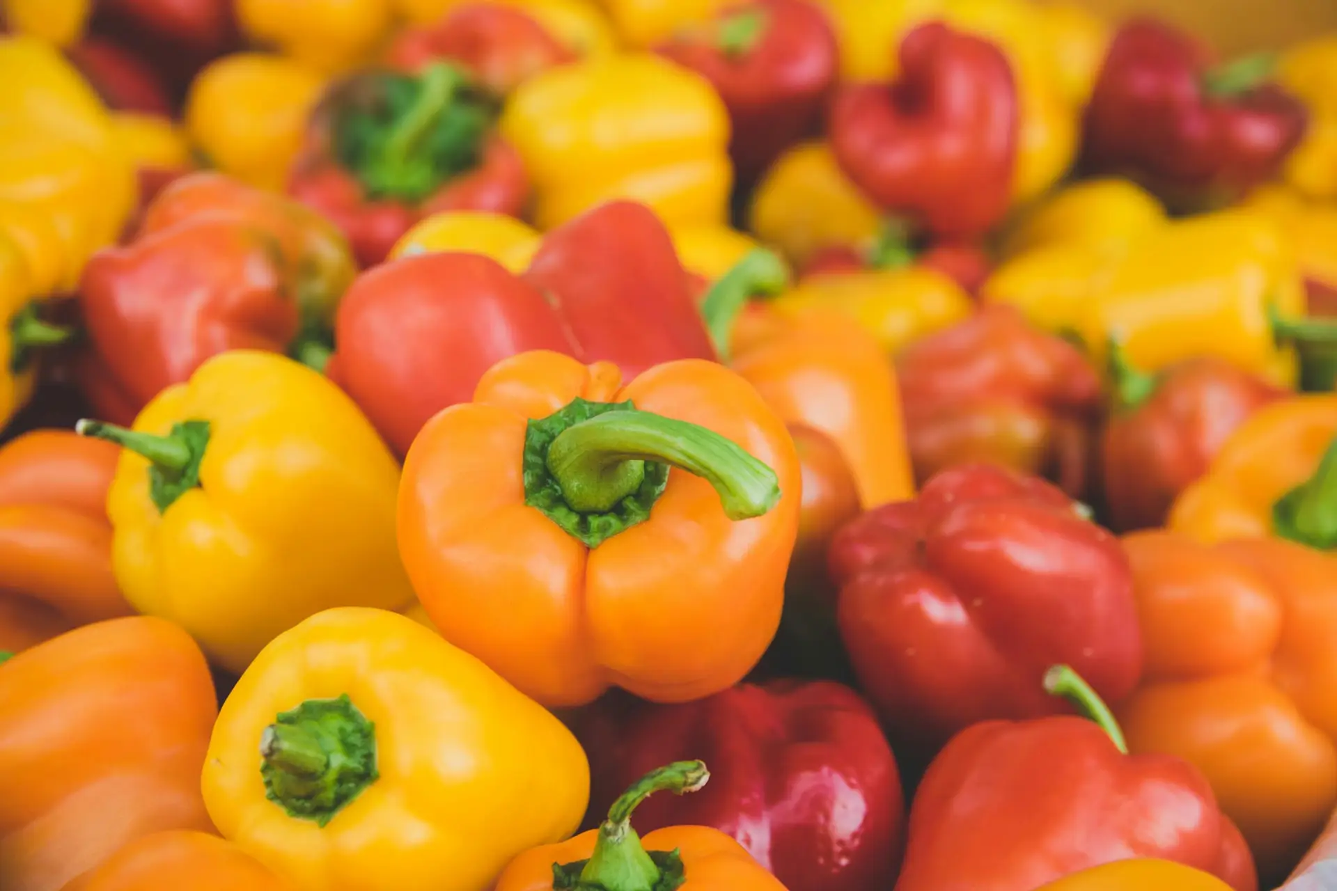 Many colourful peppers in yellow, orange and red.